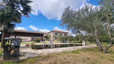 /international/fr/l-isle-en-dodon-midi-pyrenees-310106943686/