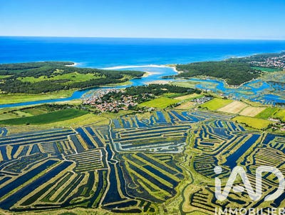 /international/fr/talmont-saint-hilaire-pays-de-la-loire-310108241508/