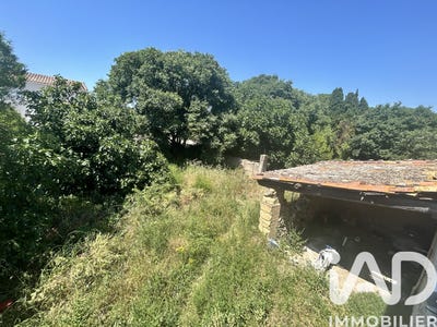 /international/fr/caux-limousin-310107643376/