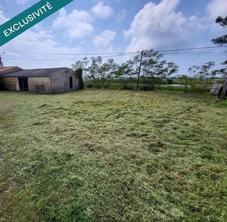 /international/fr/l-ile-d-olonne-pays-de-la-loire-310099227345/