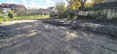 /international/fr/erstein-alsace-310103713838/