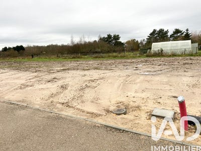 /international/fr/pruniers-en-sologne-centre-val-de-loire-310104334705/
