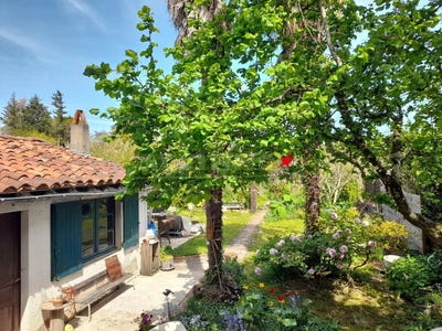 /international/fr/castres-burgundy-310106998340/