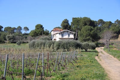 /international/fr/montagnac-auvergne-310098902357/