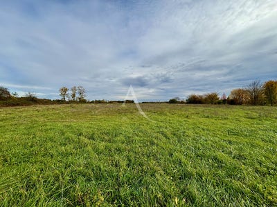 /international/fr/soings-en-sologne-centre-val-de-loire-310104471703/