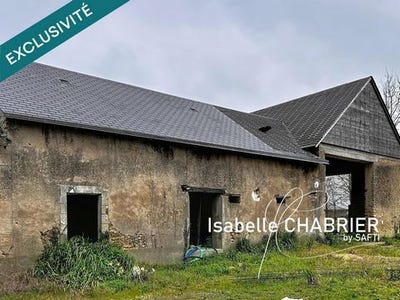 /international/fr/morannes-sur-sarthe-daumeray-pays-de-la-loire-310106972667/