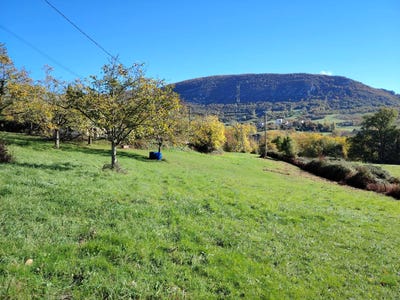 /international/fr/saint-andre-en-royans-rhone-310108557843/