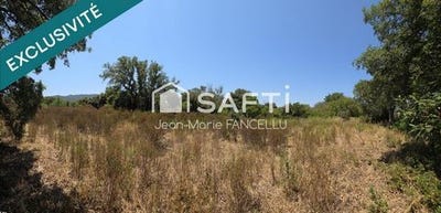 /international/fr/figari-corsica-310100762668/