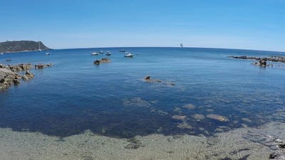 /international/fr/coti-chiavari-corsica-310100430091/