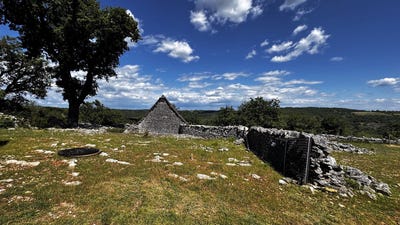 /international/fr/saint-chels-midi-pyrenees-310107555645/