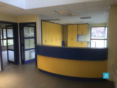 /international/fr/haguenau-alsace-310100576496/?lang=zh-tw