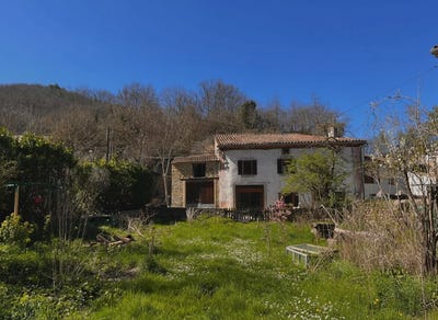 /international/fr/festes-et-saint-andre-languedoc-roussillon-310108520994/