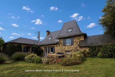 /international/fr/saint-mesmin-burgundy-310108971779/