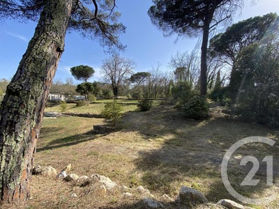 /international/fr/valbonne-provence-alpes-cote-d-azur-310102399359/