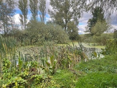 /international/fr/mangiennes-lorraine-120095238967/
