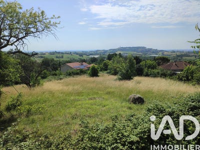 /international/fr/montpezat-de-quercy-midi-pyrenees-310106514369/