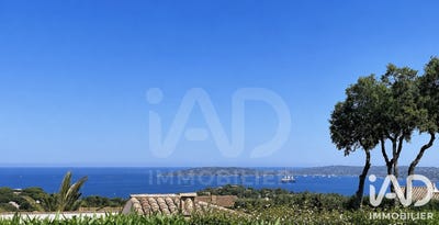 /international/fr/sainte-maxime-provence-alpes-cote-d-azur-310109105817/