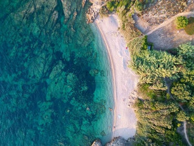 /international/fr/pietrosella-corsica-310107046411/