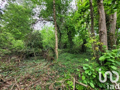 /international/fr/villeneuve-sur-bellot-ile-de-france-310099111324/