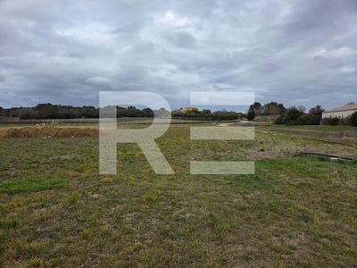 /international/fr/castelnau-valence-languedoc-roussillon-310107793589/