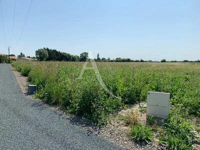/international/fr/grues-pays-de-la-loire-310106408062/