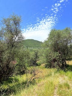 /international/fr/pierrefeu-provence-alpes-cote-d-azur-310108262118/