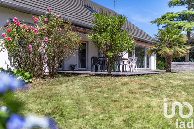 /international/fr/dinard-brittany-310108669212/