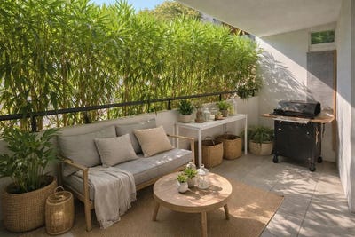 /international/fr/montpellier-languedoc-roussillon-310106068659/