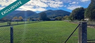 /international/fr/albine-midi-pyrenees-310105007046/