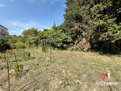 /international/fr/lattes-languedoc-roussillon-310109929138/
