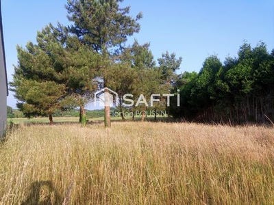 /international/fr/clefs-pays-de-la-loire-310100113448/