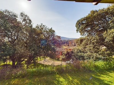 /international/fr/grosseto-prugna-corsica-310099545110/?lang=zh-tw