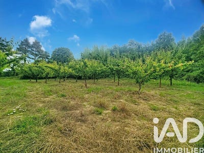 /international/fr/tournon-sur-rhone-rhone-310107323420/