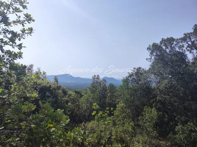 /international/fr/tavernes-provence-alpes-cote-d-azur-120093122161/