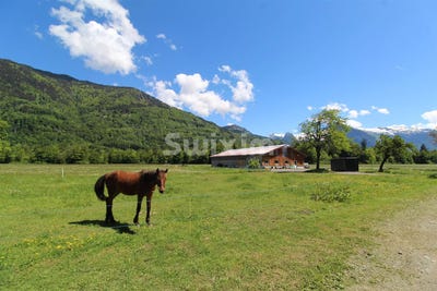 /international/fr/morillon-rhone-310108138843/