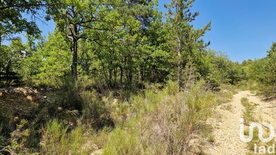 /international/fr/riez-provence-alpes-cote-d-azur-310101018093/