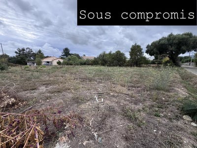 /international/fr/prunelli-di-fiumorbo-corsica-310102678142/
