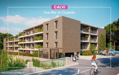 /international/fr/calvi-corsica-310105025835/