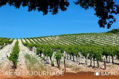 /international/fr/tavel-languedoc-roussillon-310099286656/