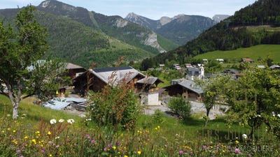 /international/fr/seytroux-rhone-310106052571/