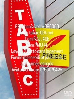 /international/fr/nogent-sur-marne-ile-de-france-310106389316/