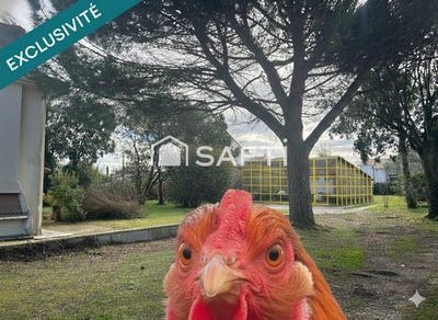 /international/fr/saint-medard-en-jalles-aquitaine-310106488203/