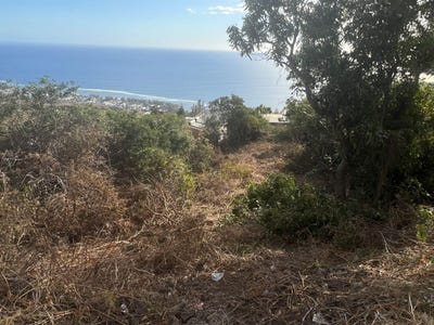 /international/fr/saint-leu-ile-de-france-310103683932/