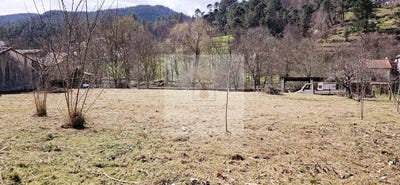/international/fr/chamborigaud-languedoc-roussillon-310108429529/