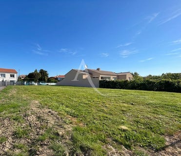 /international/fr/le-fenouiller-pays-de-la-loire-310107562970/
