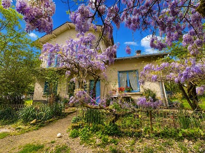 /international/fr/monteils-midi-pyrenees-310108602174/