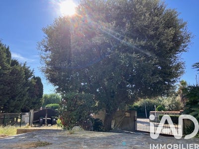 /international/fr/le-soler-languedoc-roussillon-310105014959/