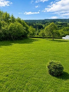 /international/fr/granges-aumontzey-lorraine-310106488131/