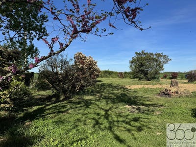 /international/fr/pibrac-midi-pyrenees-310108436059/