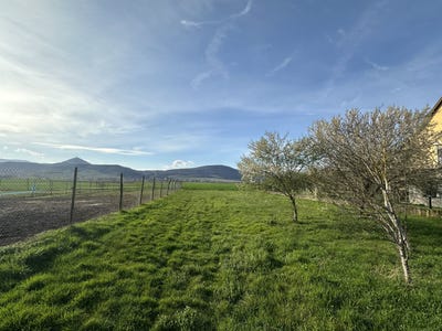 /international/fr/selestat-alsace-310109641527/